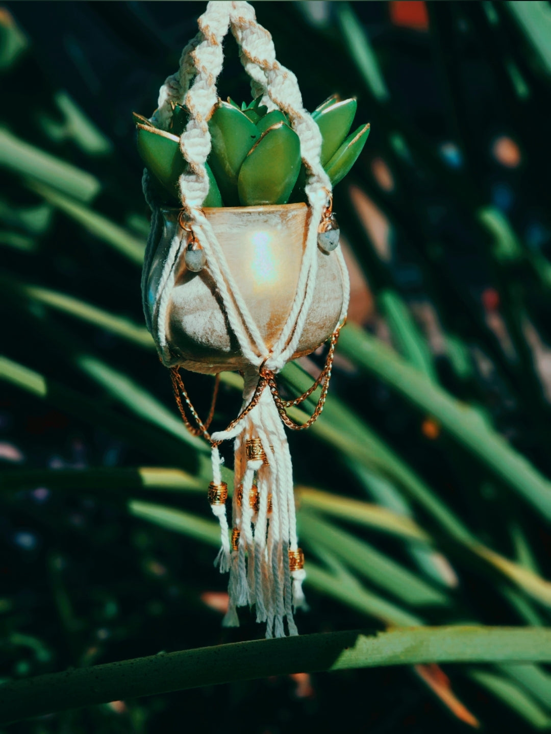 Custom Pottie 🌙🌱DEPOSIT ONLY🌿✨️