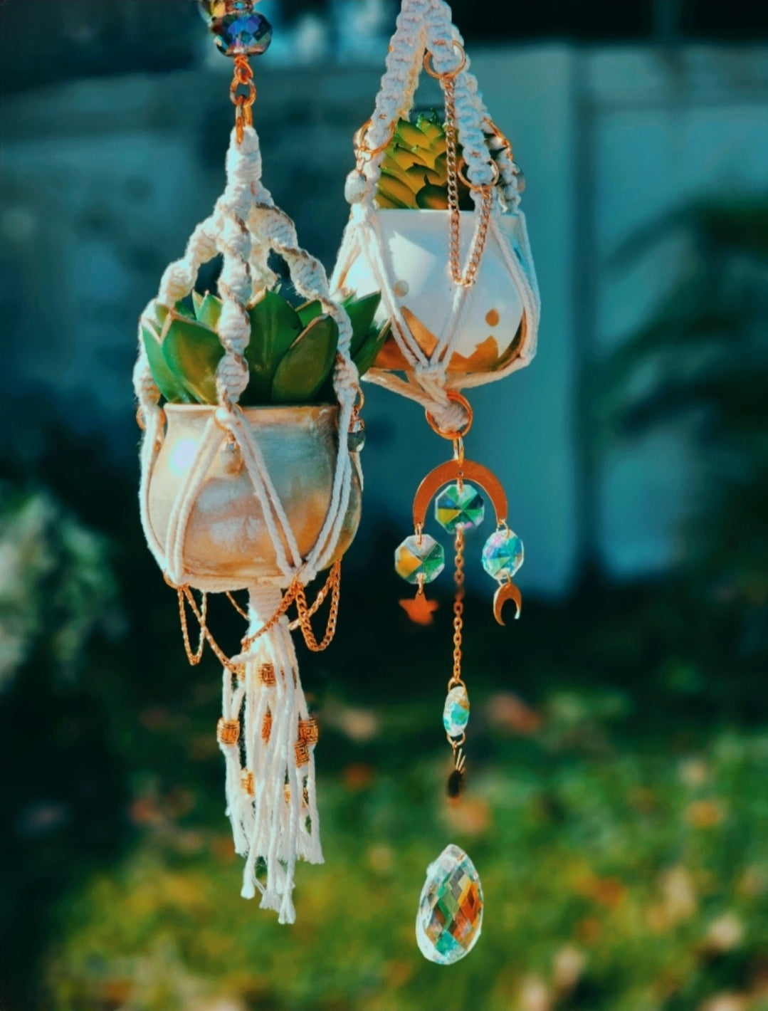 Custom Pottie 🌙🌱DEPOSIT ONLY🌿✨️