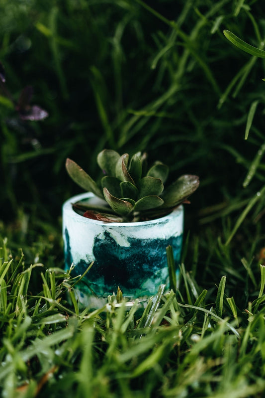 Hand Painted Pot