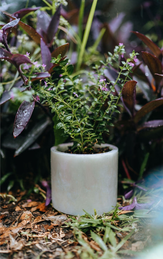 Iridescent Flower Pot