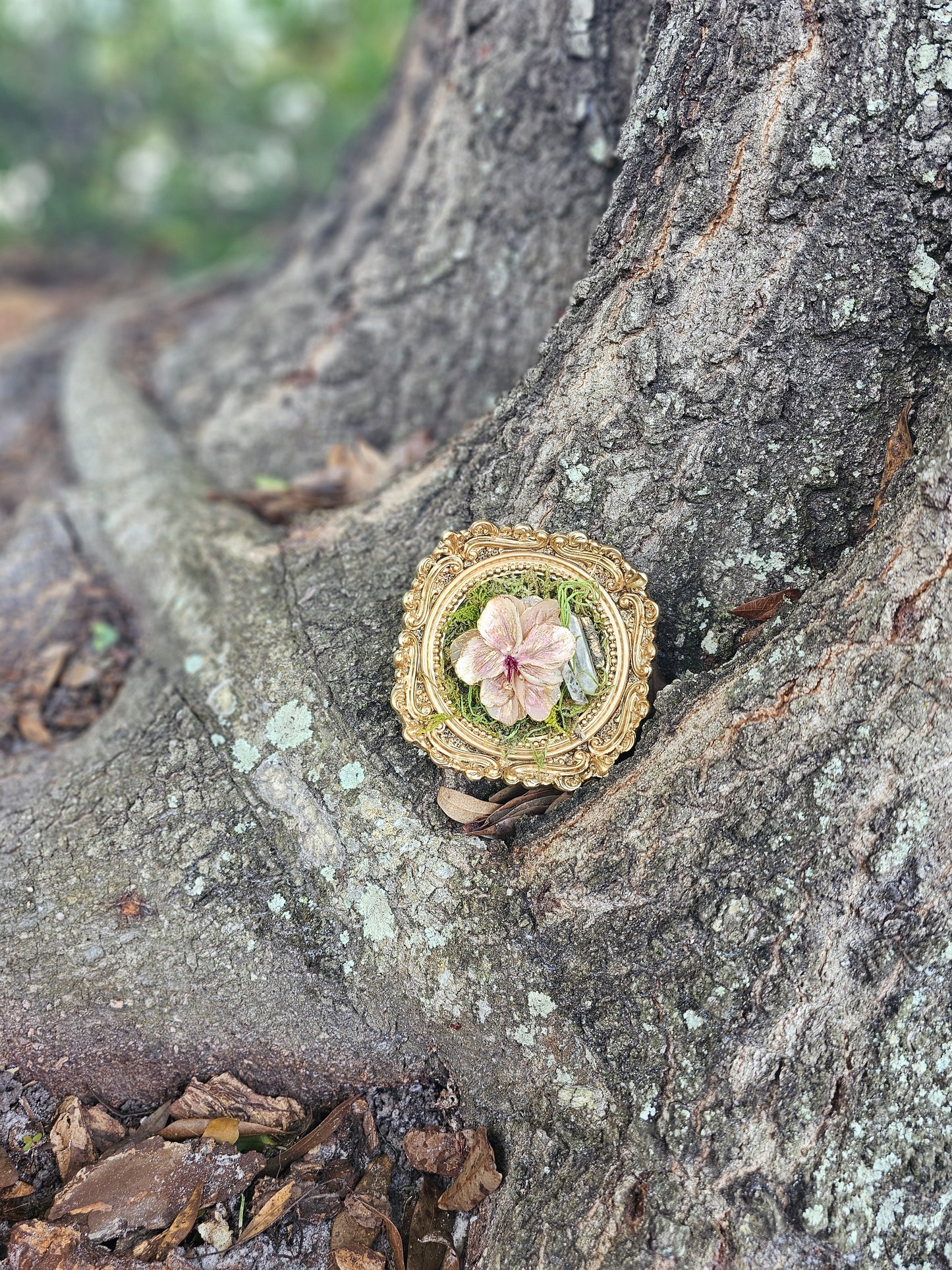 Framed Sculpture