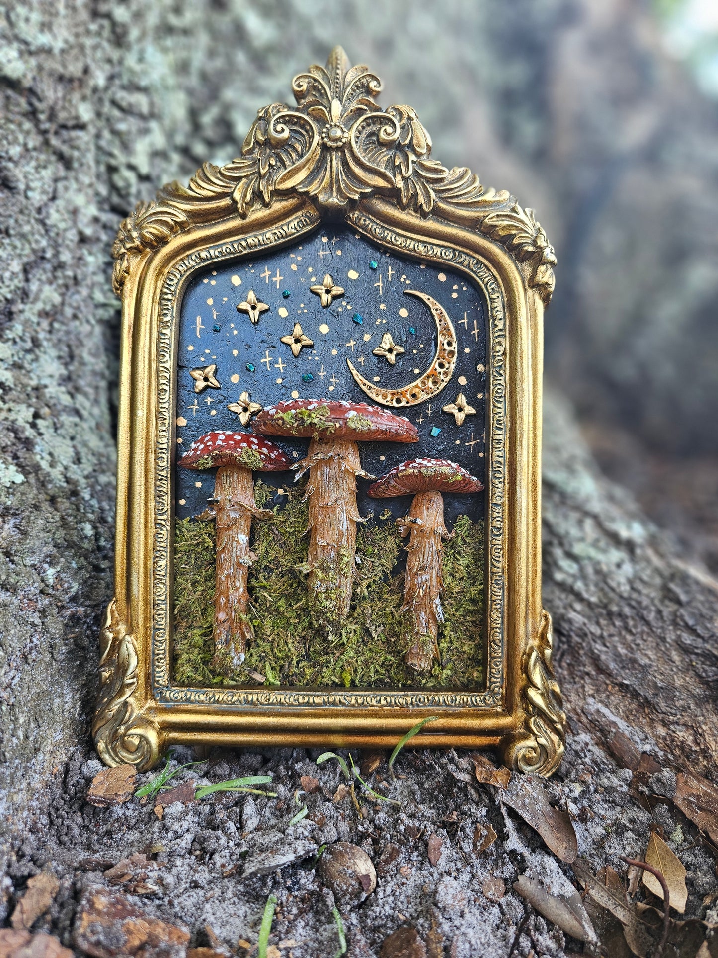 Forest Mushrooms Framed Sculpture