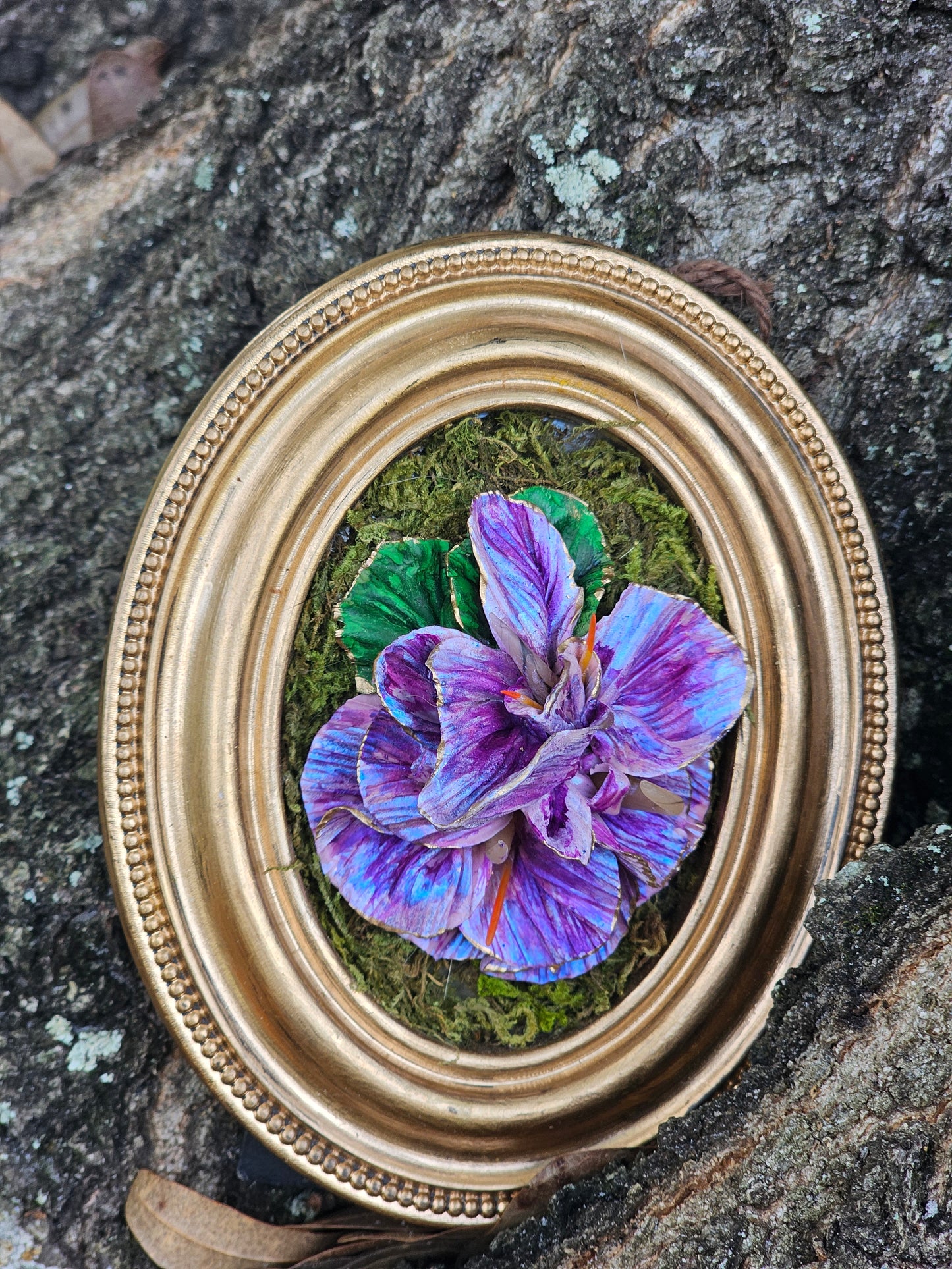Framed Sculpture