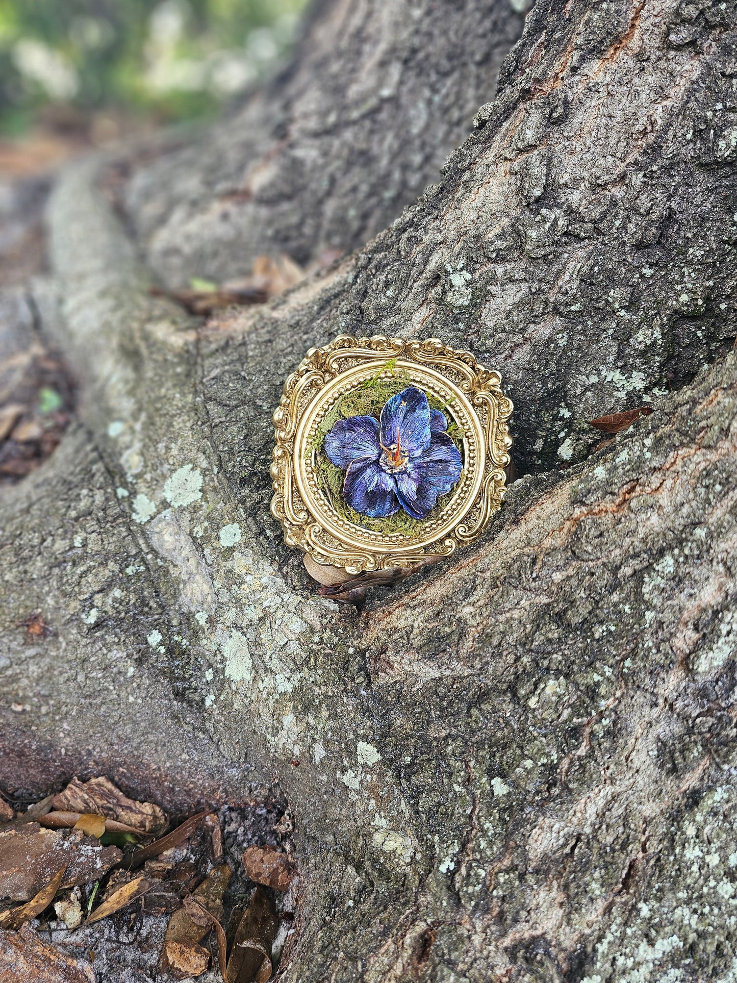 Framed Sculpture