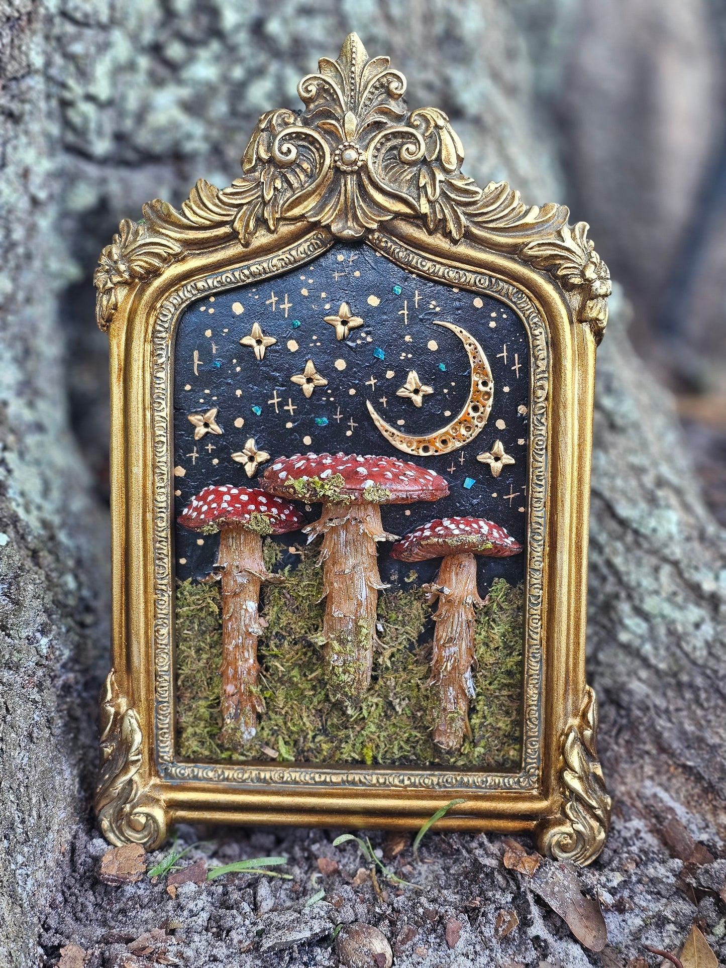Forest Mushrooms Framed Sculpture