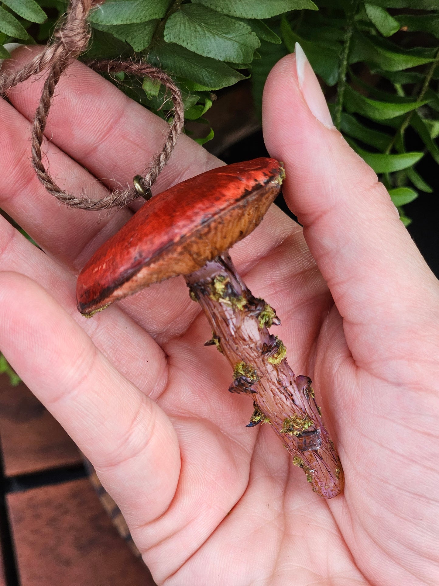 Hanging mushroom