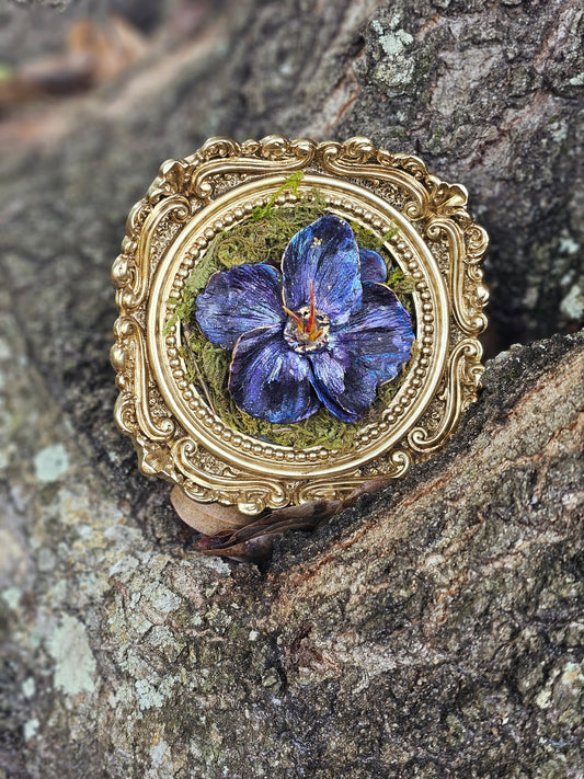 Framed Sculpture