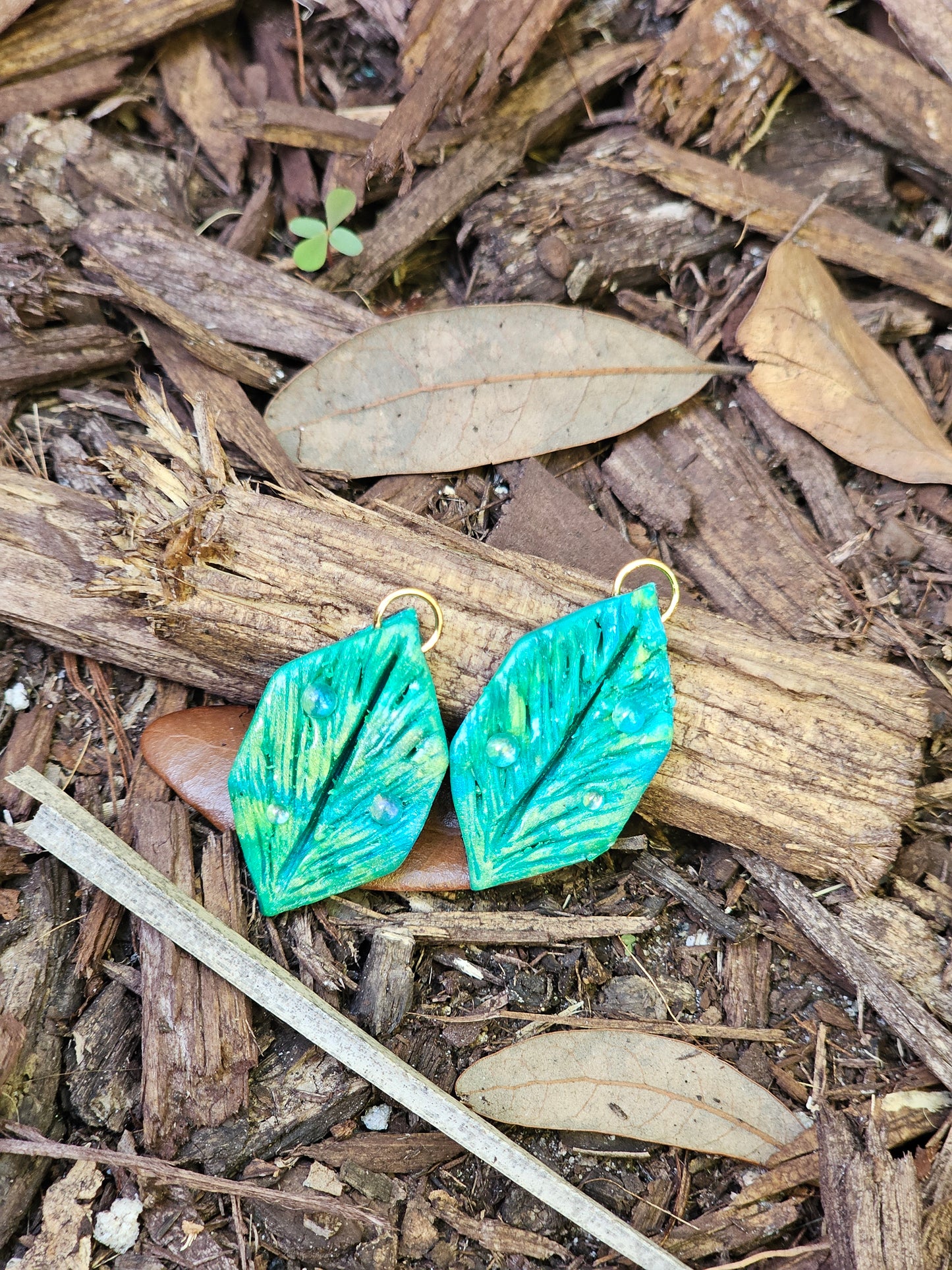 Earrings